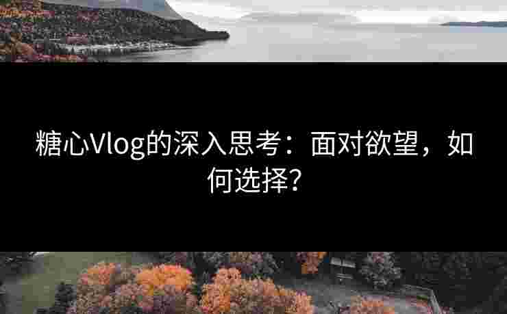 糖心Vlog的深入思考：面对欲望，如何选择？