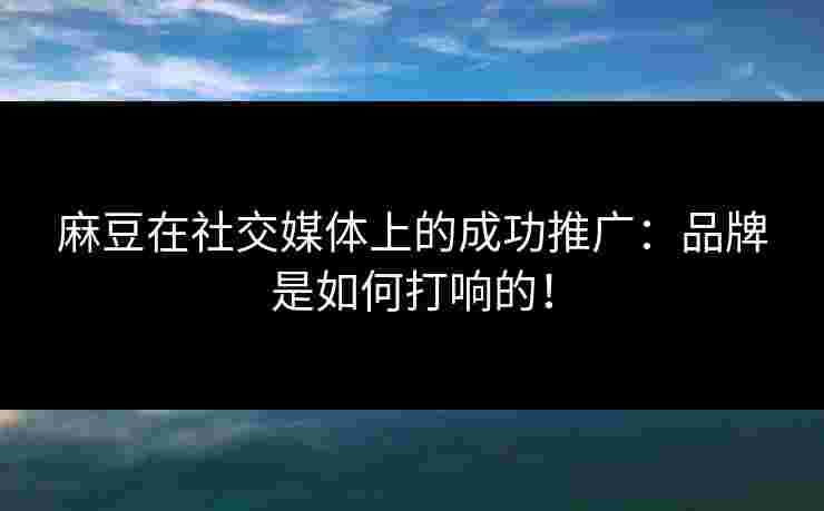 麻豆在社交媒体上的成功推广：品牌是如何打响的！